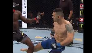 The long island native swiftly kicked opponent uriah hall right below his knee in the opening seconds of their. 5ymxjnslzojo7m