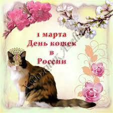 Выберите картинку и продолжите создание открытки. Krasivye Pozdravitelnye Otkrytki S Vsemirnym Dnyom Koshek 1 Marta 2021