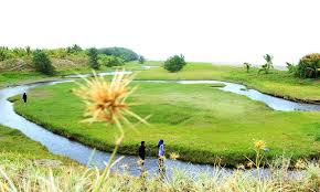 Bagi sebagian besar masyarakat, nama pantai bias tugel mungkin kurang familier. 9 Pantai Di Kebumen Yang Akan Memanjakan Liburan Anda Cermati Com