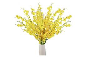 15 x 4 x 4 inches, pot size: Yellow Bomarolan Artificial Orchid Silk Fake Flowers Faux Dancing Lady Orchids Stems Flower 10 Pcs Real Touch For Wedding Home Office Party Hotel Yard Decoration Restaurant Patio Festive Furnishing Yellow Kogan Com
