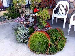2424173976 Ec8ac623ef Jpg Succulent Landscape Design Succulents Succulent Landscaping