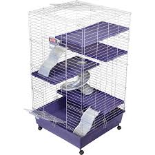It depends on the color of them of the price range. Kaytee Ferret Home Plus 24 L X 24 W X 41 5 H Petco