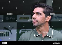 Palmeiras coach hi-res stock photography and images