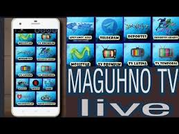 Maguhno Tv Worldwide Channels In 2020 Download App Tv Channel
