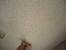 Black Mold Bathroom Ceiling