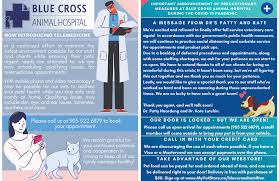 Maybe you would like to learn more about one of these? Blue Cross Animal Hospital In Hamilton On Blue Cross Animal Hospital Has Been Providing Care For Animals And Support For Their Families For Over 70 Years In Hamilton
