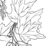 Leaves, fruits and flowers are very popular as coloring page subjects as they are very educative as well as leaf printable coloring pages. Coloring Page Leaves Leaves Autumn Free Coloring Pages