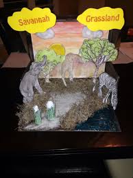 Grassland Biome In A Box Savannah Grassland 3rd Grade Project Ecosystems Diorama Habitats Projects Savannah Chat