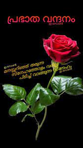 Pin By Eron On Good Morning Malayalam Good Morning Flowers Good Morning Wishes Morning Images