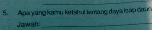 Apa Yang Kamu Ketahui Tentang Daya Isap Daun Brainly Co Id