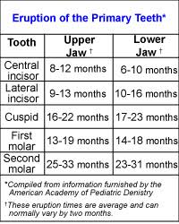 The Newborns Growth Patterns And Teething Howstuffworks