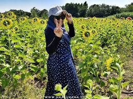 Setiap november hingga januari, lopburi yang terletak 150 kilometer timur laut bangkok, berubah kuning akibat bunga matahari yang bermekaran, selain tempat ini memang merupakan ladang bunga matahari terbesar di thailand, terutama di distrik phatthana nikom. 30 Resepi Berbuka Puasa Yang Sedap Dan Mudah Disediakan Ana Suhana Di 2021 Bunga Matahari Kunyit Thailand