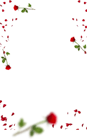 Valentine Day Photo Editing Background Png Download For Picsart Photoshop Hd Wedding Background Images Flower Background Images Blue Background Images