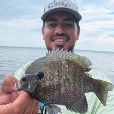 Back in Wisconsin for the 4th and it did not disappoint 🎣 Caught a bunch  of Freshwater Drum, Panfish and Largies