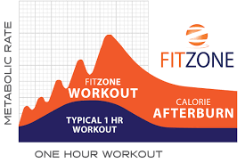 Homepage Fitzone