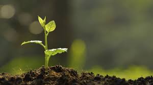 Passion is a feeling of intense enthusiasm towards or compelling desire for someone or something. 8 Tips On How To Turn Your Passion Into A Business Inc Com