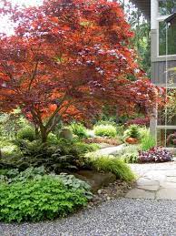 I polled about 15 ladies, at a gathering i was at today, and all but one of them had a japanese maple in the yard and most had more than one. Contemporary Landscape By Bliss Garden Design Island Landscaping Front Yard Landscaping Landscape Design