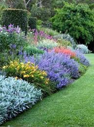 Photo Of Herbaceous Perennial Plants In The Garden By Randi Garden Shrubs Herbaceous Perennials Plants