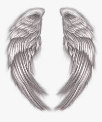 Las alas, excepto las alas de polluelo son accesorios del modo difícil que le permiten al jugador volar por un determinado periodo de tiempo al presionar la tecla para saltar cuando se encuentra en el aire. Alas De Angel Png Transparent Png Kindpng