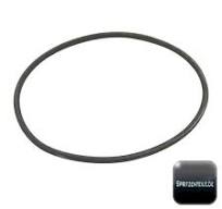 RAU O-Ring RG00032605 für SPRIMAT Filter