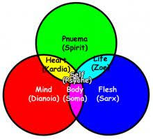 Life Soul Mind Heart And Spirit Christ S Words