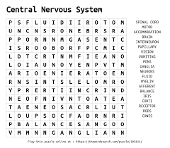 Download Word Search On Central Nervous System
