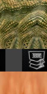 Maybe you would like to learn more about one of these? Roman Reigns Raw Arms By Heel Rko Wr3d Textures Revolution Facebook