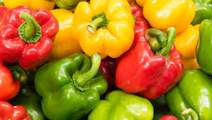Jalapeno) as well as sweet bell types (capsicum annuum). How To Grow Peppers In Oregon S Maritime Climate