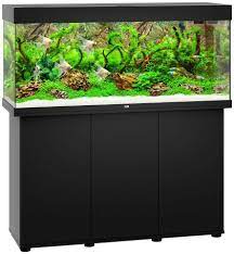 pin auf aquarium