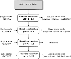 operation chart for the selective extraction of amino acids