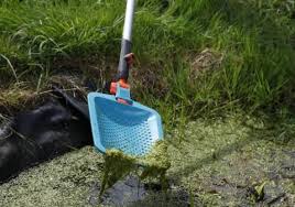 Kescher Algen Wasserlinsen Gartenteich Gartenteich Gestalten Teich