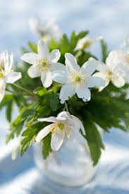 Find wedding florists near you. The Most Beautiful Flowers For A Winter Wedding Vogue Paris