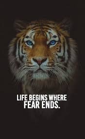 Life Quotes Fear Motivation Inspirational Dailyquotes Success Entrepreneurship Tiger Quotes Lion Quotes Motivational Words