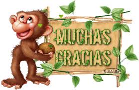 Resultado de imaxes para muchas gracias gif
