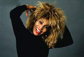 16 vintage celebrity iconic hairstyles that are still on style tina turner ike and tina turner tina