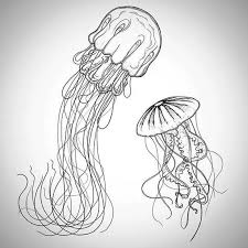 How To Draw Simple Jellyfish Jellyfish Drawing Jellyfish Art Mermaid Drawings