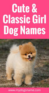 Names My Dog S Name Girl Dog Names Dog Names Girl And Dog
