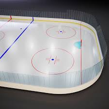 10*20, 15*30, 20*40 и 30*60 метров. Hokkejnoe Pole 3d Model 39 Obj Max Fbx 3ds Free3d