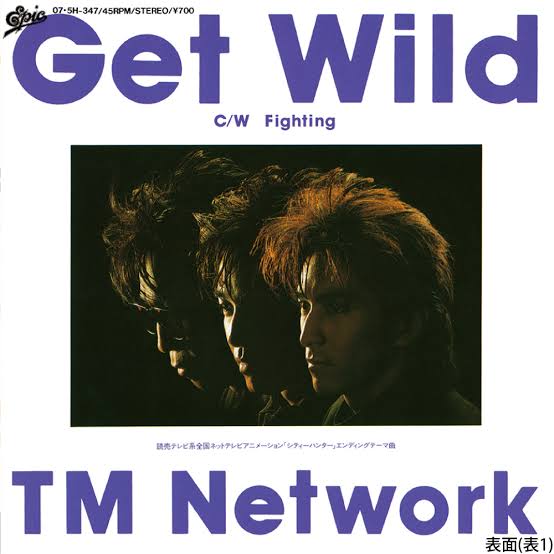 ゲットワイルドTMN