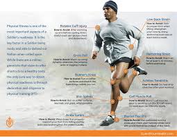 The groin muscle is easy to injure or pull. 10 Common Pt Injuries And How To Avoid Them Citizen Soldier