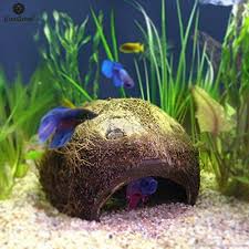 Sungrow Betta Cave Natural Habitat Made From Coconut Shells Soft Textured Smooth Edges Spacious Hideout For Bett Fish Breeding Coconut Fish Tropical Fish Tanks