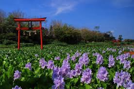 Sangat cocok untuk wallpaper dan sebagai referensi tempat wisata alam terbaik di terdapat bermacam objek gambar pemandangan indah yang ada di dunia, termasuk di indonesia. Sering Disangka Wisata Luar Negeri 6 Pemandangan Indah Ini Ada Di Indonesia Semua Halaman Hai