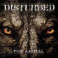 The animal in you fuses ancient traditions with modern psychological and biological concepts and its nine question personality quiz has almost fifty possible animal results. The Animal Disturbed Song Wikipedia
