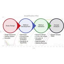 Animal cell biotechnology methods and protocols pdf. Qpcr And Qrt Pcr Analysis Regulatory Points To Consider When Conducting Biodistribution And Vector Shedding Studies Molecular Therapy Methods Clinical Development