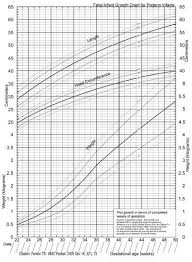 chart preterm growth curve fetal infant growth chart for