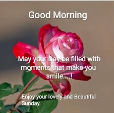 Pin By Pauline On Good Morning Good Morning Quotes Morning Images Morning Quotes