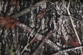 Choose your background and layout. Camo Waterproof Fleece Blanket In Ground Blinds Llc