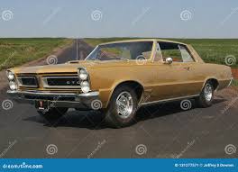 Image result for Tiger Gold 1965 GTO