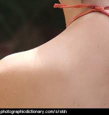 Also are of different types of various breeds. Body Parts That Start With S