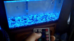 Custom Rgb Led Aquarium Light Youtube